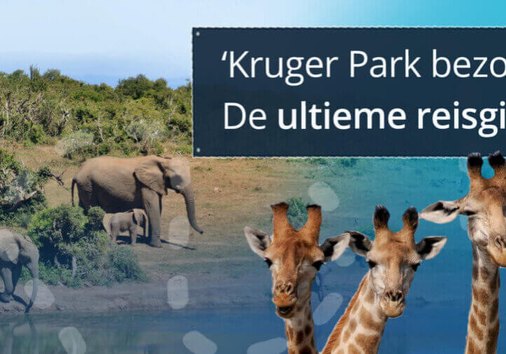 Tips bezoeken Kruger Park